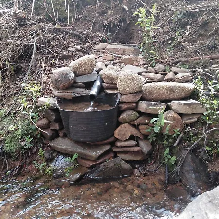 El Arroyo *