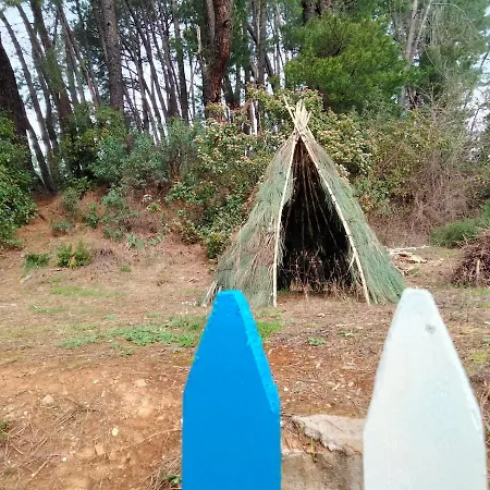 El Arroyo *