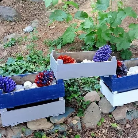 El Arroyo Сasa de vacaciones Sotoserrano