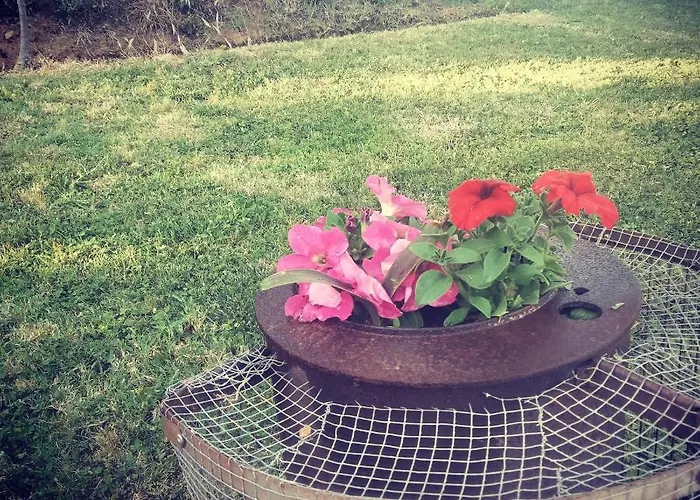 El Arroyo 컨트리하우스 Sotoserrano